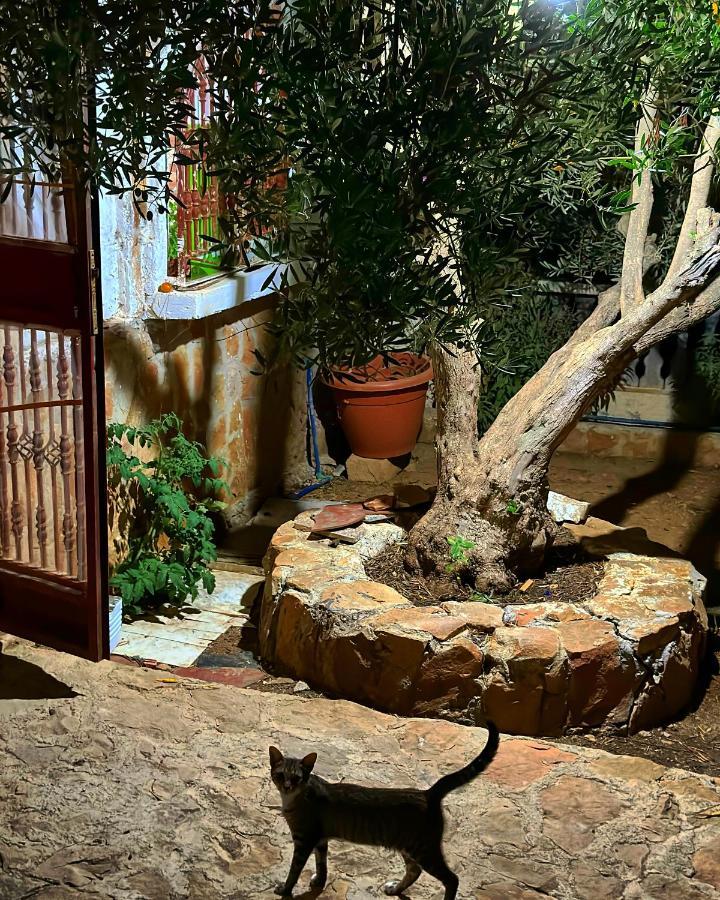 Auberge Dalia Şafşavan Dış mekan fotoğraf