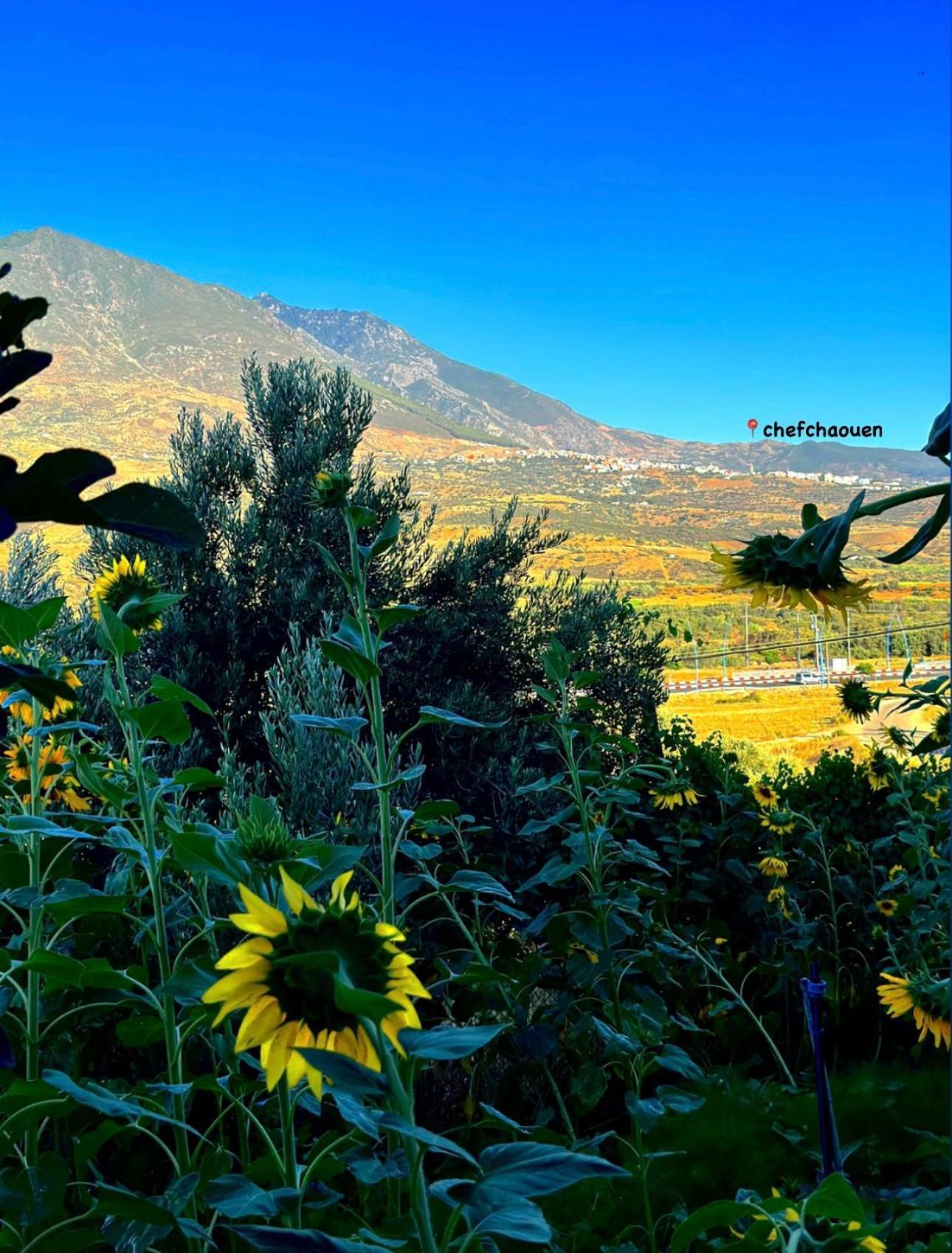 Auberge Dalia Şafşavan Dış mekan fotoğraf